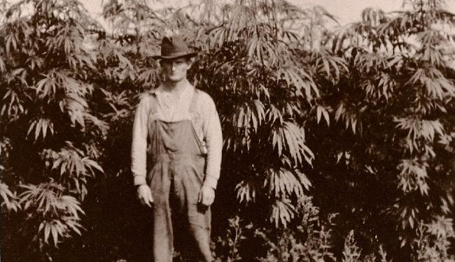 history-of-cannabis-hemp1