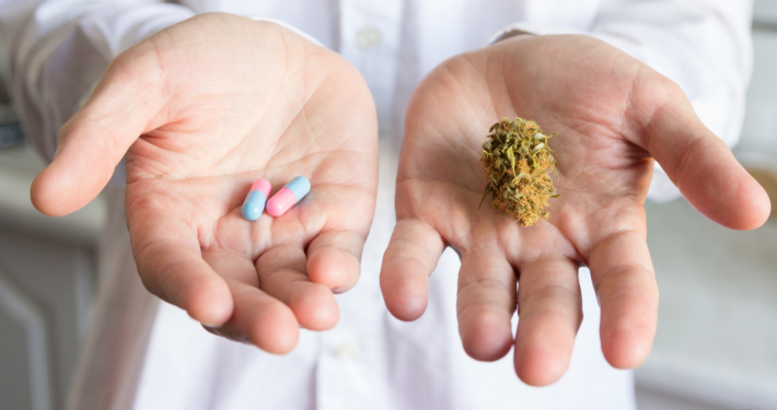 Doctor hand offering bud of medical cannabis and pills. Concept of choise of traditional medications and cannabis